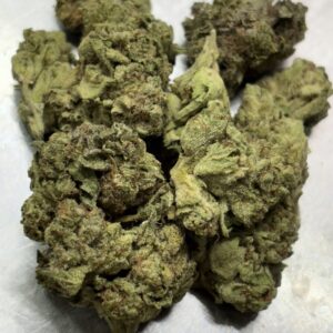 THCa Flower - Purple Champagne