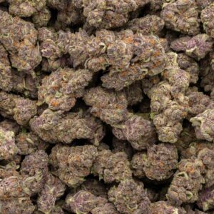 THCa Flower - Tropicana Cherry