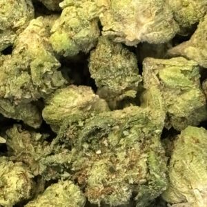 THCa Flower - Gelato 41
