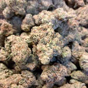 THCa Flower - Biscotti