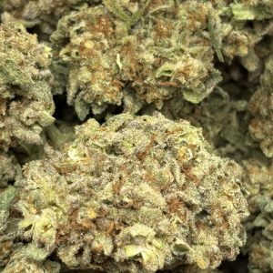 THCa Flower - Frosted Donutz