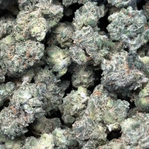 THCa Flower - Super Lemon Haze