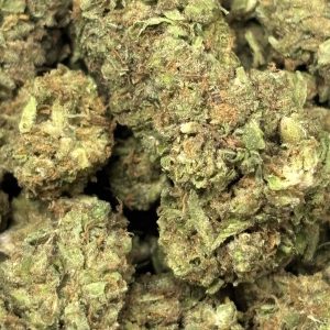 THCa Flower - Tangerine Dream
