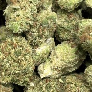 THCa Flower - Jet Fuel Gelato