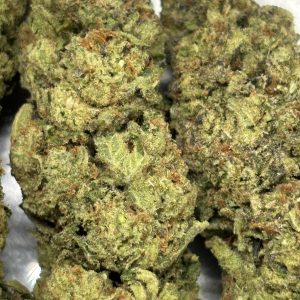 THCa Flower - Bangkok Purple