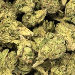 THCa Flower - Jack Fruit