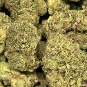 THCa Flower - Platinum Gelato